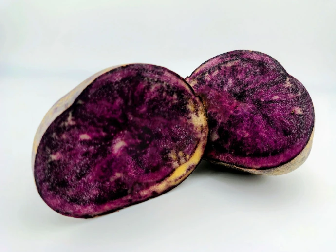 ziemniak truflowy - provita